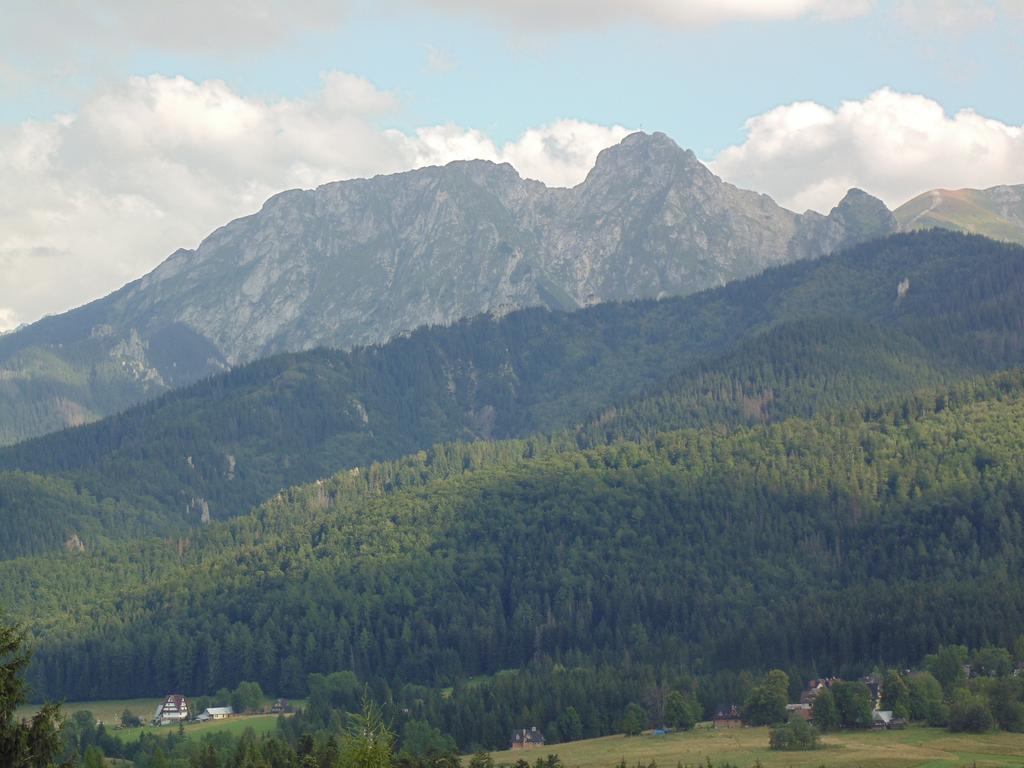 Pokoje Goscinne Koscielisko Az Somatic エクステリア 写真